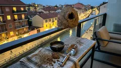 Il nido di fango del hornero: come nasce la “casetta” più sorprendente della natura