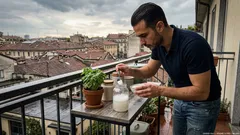 Gusci d’uovo: 3 modi semplici per riutilizzarli in orto, terriccio e compost